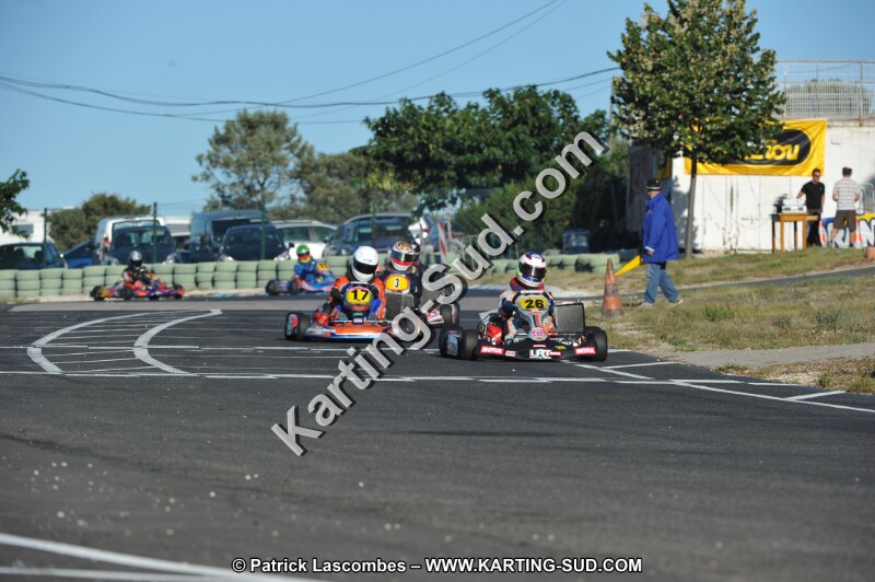 DSC (2331).JPG